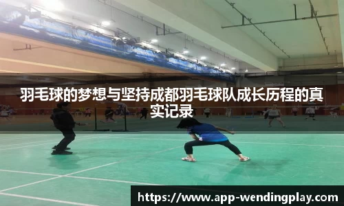 羽毛球的梦想与坚持成都羽毛球队成长历程的真实记录